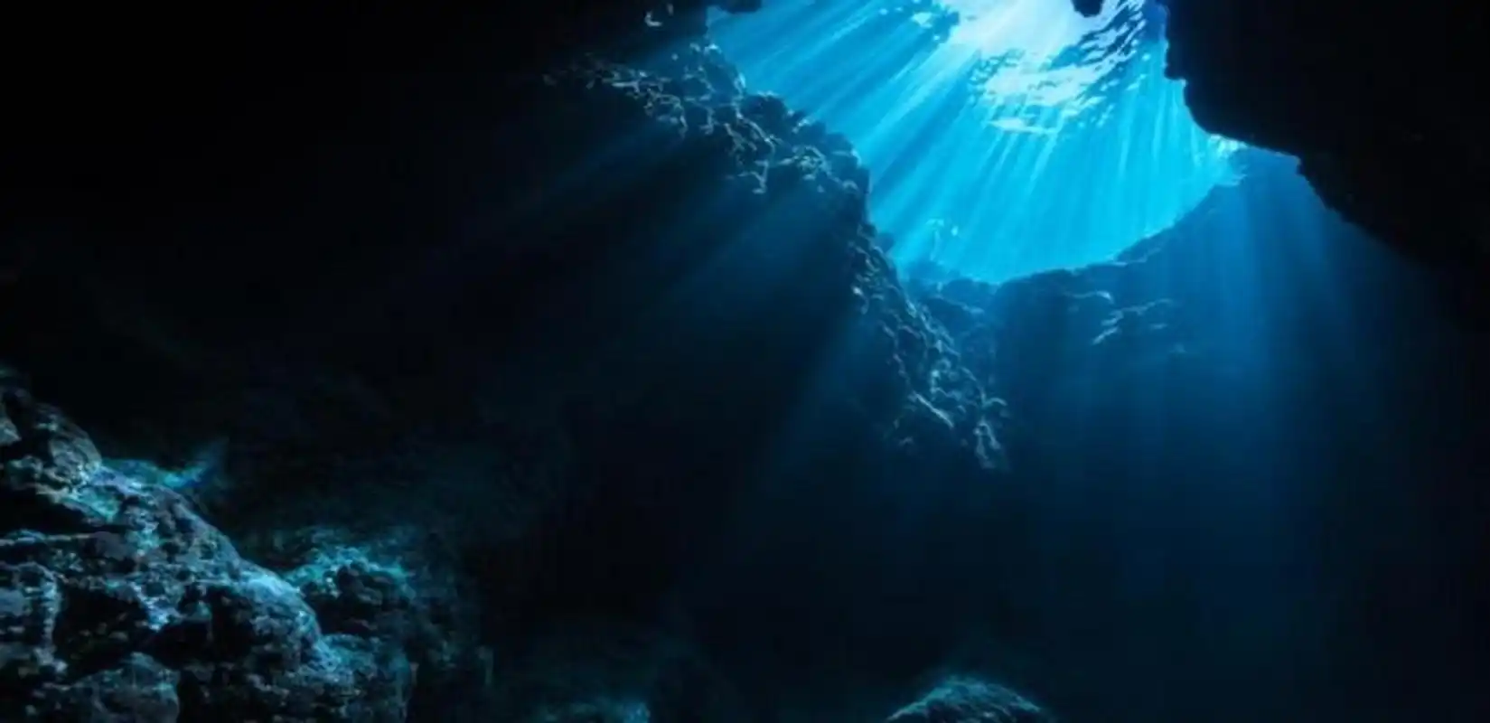 海底多深就全黑了 并不是所有海洋深度都全黑.