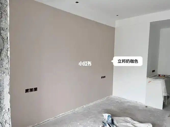 立邦奶咖背景墙颜色