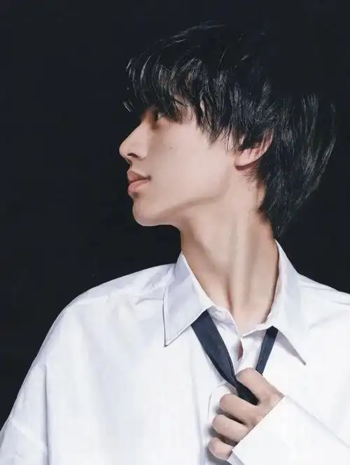 求下颌线美丽的男艺人侧脸图