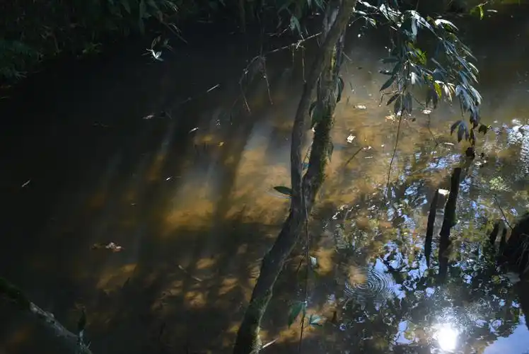 浮生 一潭静水盈盈光