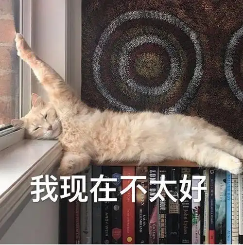 萌宠猫星人我现在不太好无奈呆萌可爱gif动图_动态图_表情包下载_soo