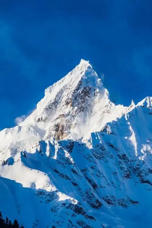 雪山深处的"世界第三极",比北极纯净,比南极高冷!