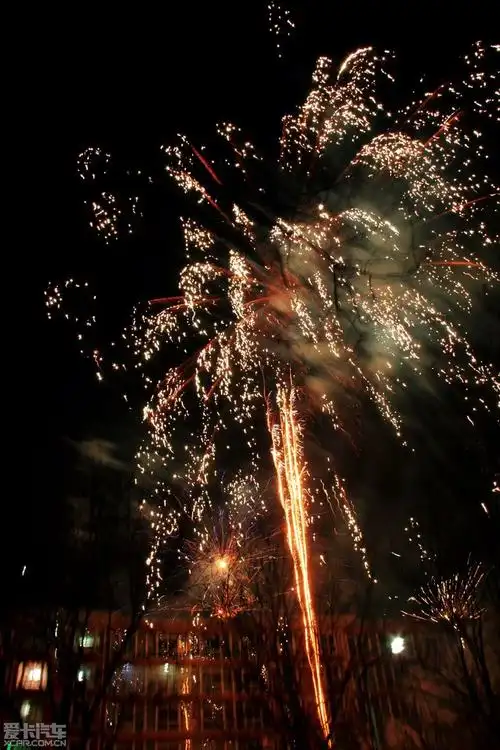 新年到新年到 家家小孩放鞭炮 dd给大家拜年了!4页有更新