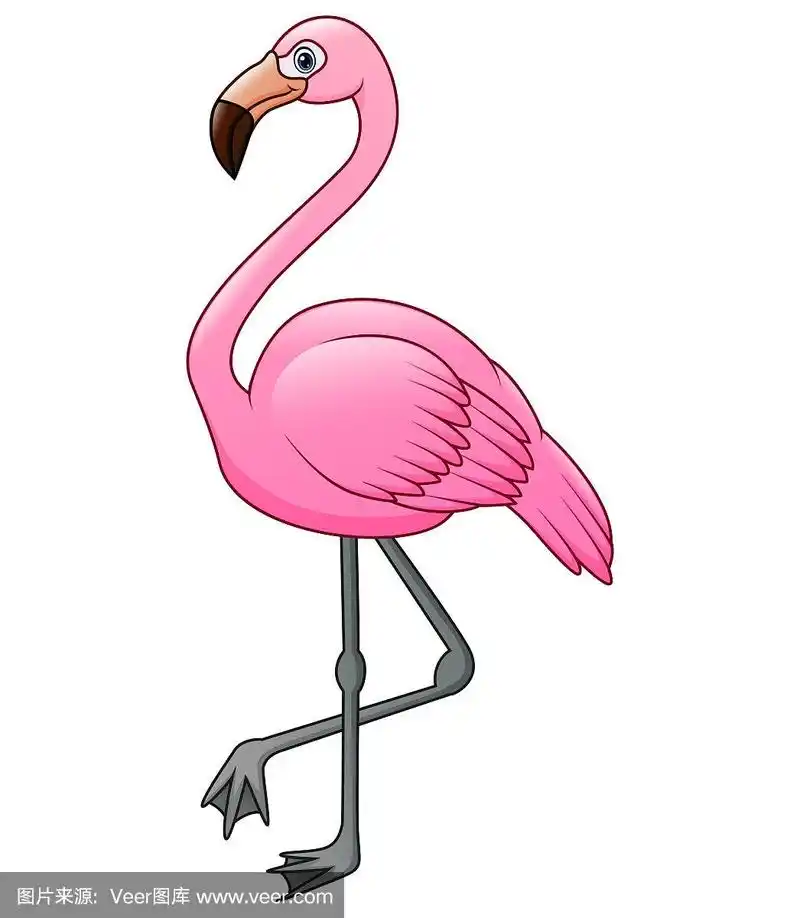 可爱的,火烈鸟,卡通,热带气候,野生动物