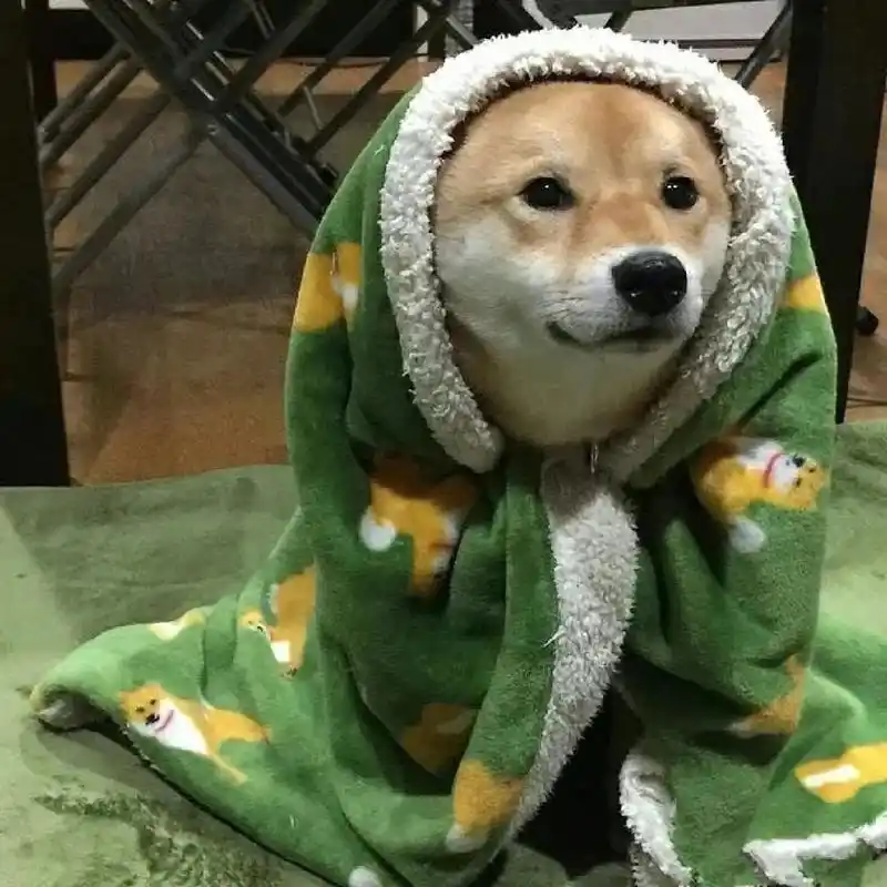 搞笑男女必备,沙雕头像949794