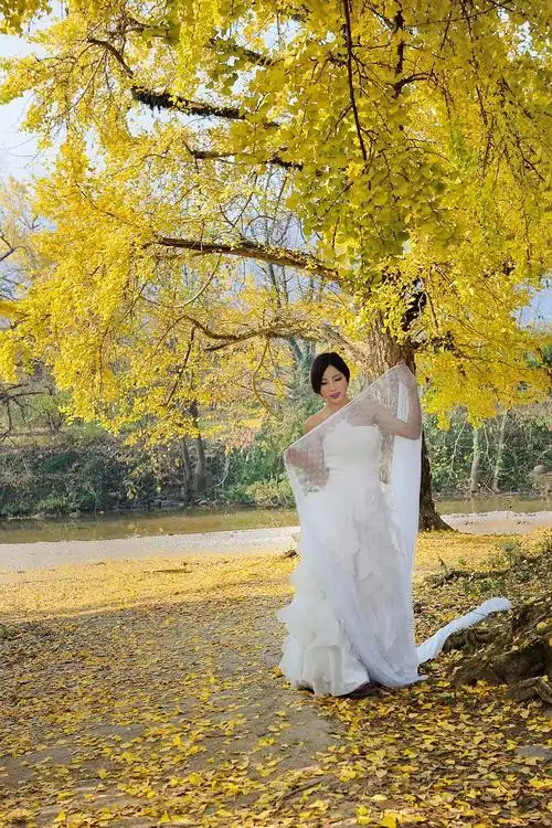 广西银杏之乡风景人像摄影之旅之一