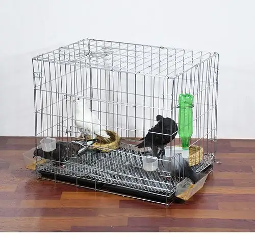 鸽子笼家用配对养殖繁殖笼子小号大号小大型白鸽信鸽折叠鸽子笼