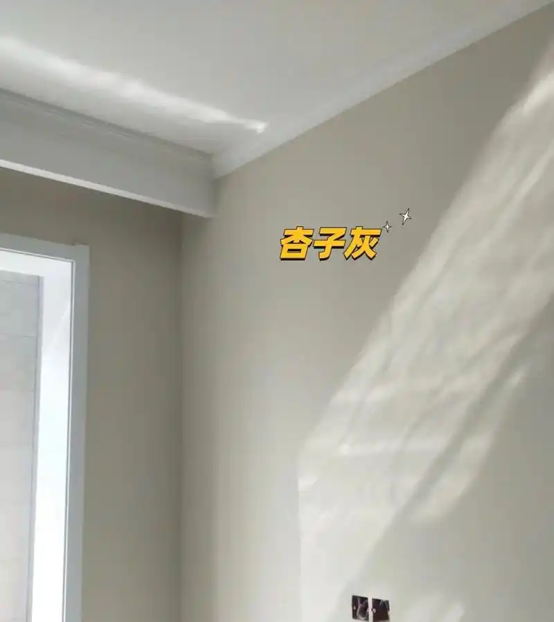 简直可以无脑选择杏子灰和可可蛋奶 	 96杏子灰