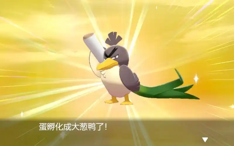 m的宝可梦剑盾色违79闪光伽勒尔大葱鸭