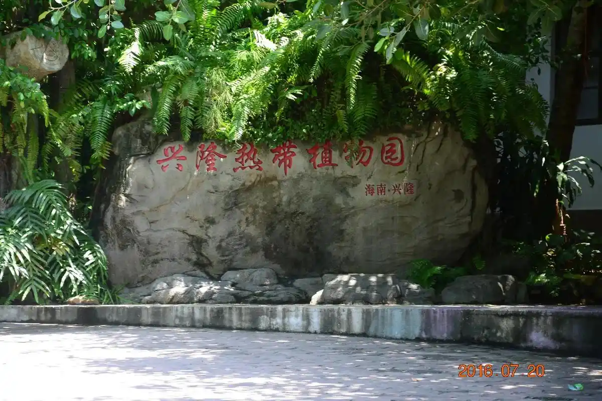 兴隆热带植物园位于海南省万宁市兴 - 抖音