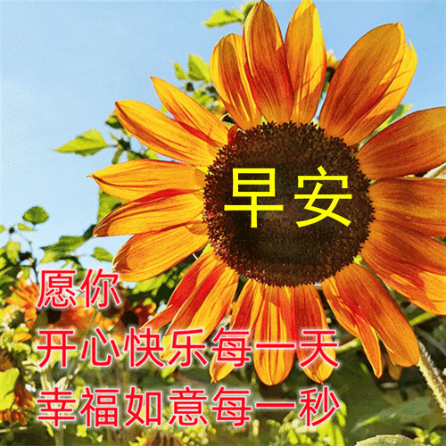 微信群发早上好祝福朋友图,最美的清晨早上好问候祝福图片表情