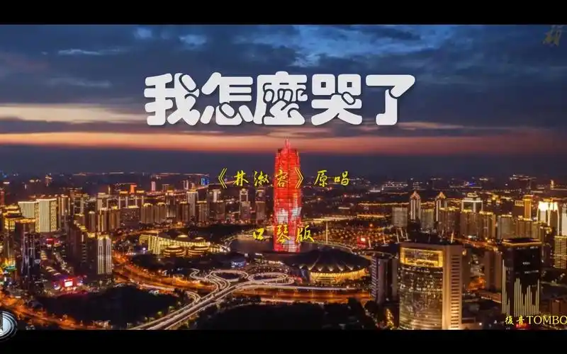 我怎么哭了-口琴版