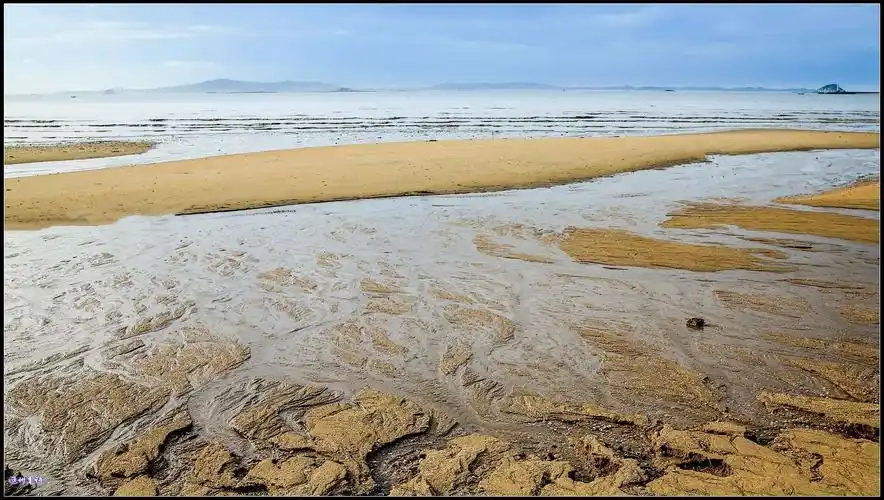 海边滩涂亦如画