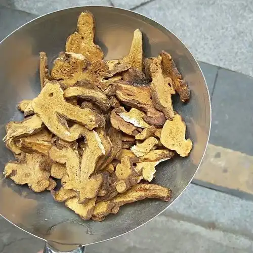 今日毫州白术价格「中药材白术」_大全-幸福起航