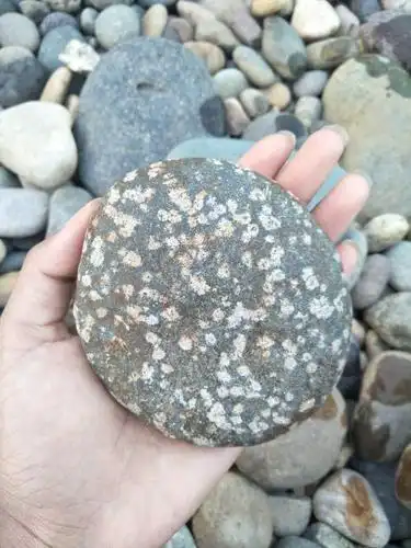 这类似的有花纹的石头值不值钱?