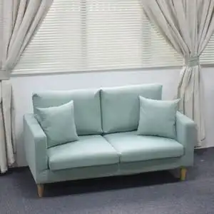 人双人两人二人位小型布艺沙发小户型北欧三休闲小沙发小客厅简约