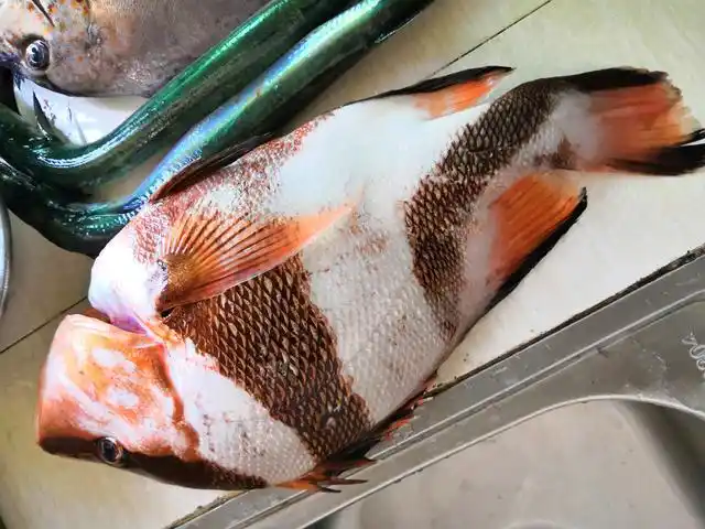 这种有人叫三刀鱼,很好吃