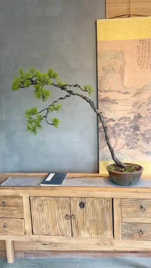 一颗意境十足的临水式黄山松盆景