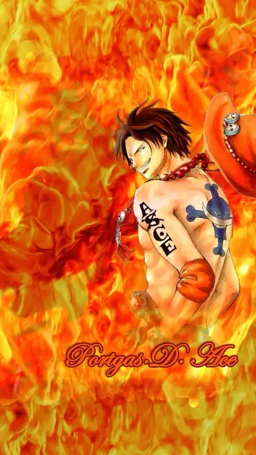 动漫 海贼王 艾斯 尼桑 帅 - 堆糖,美图壁纸兴趣社区