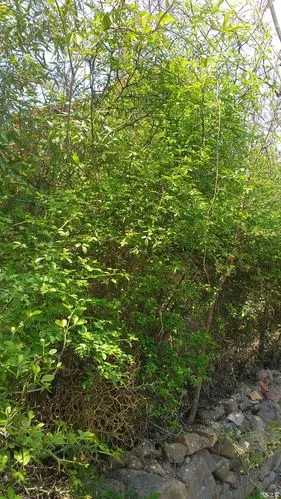 潍坊博越军团手动智慧博越6700公里使用策略感受