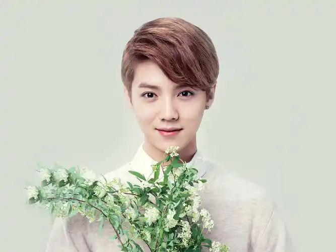 鹿晗,exo,exo,k,日韩男团,日韩,明星,花样美男,中国十帅,美男,暖男