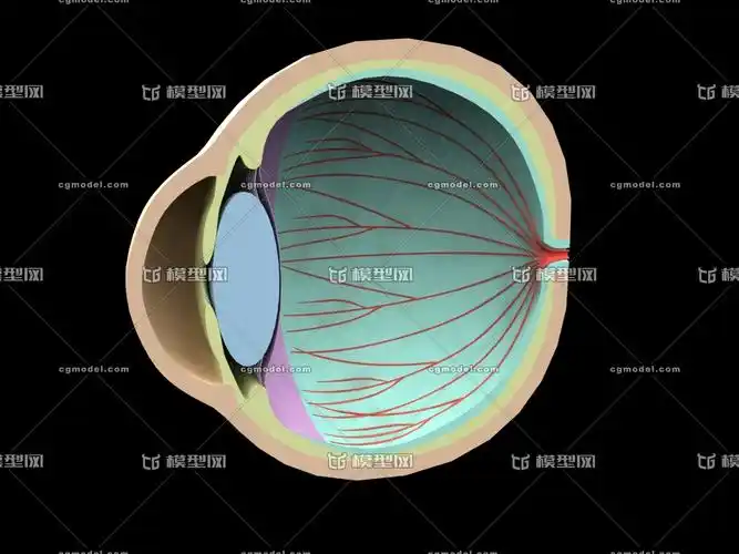 官方提示: 1,如该资源发布者无特别说明,模型结构,精度及细节等,以