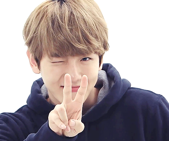 边伯贤gif可爱gifexogif韩星gif