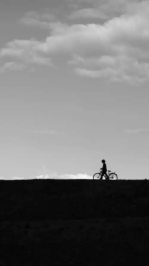 黑白壁纸熊本熊 iphone手机壁纸锁屏简约至上