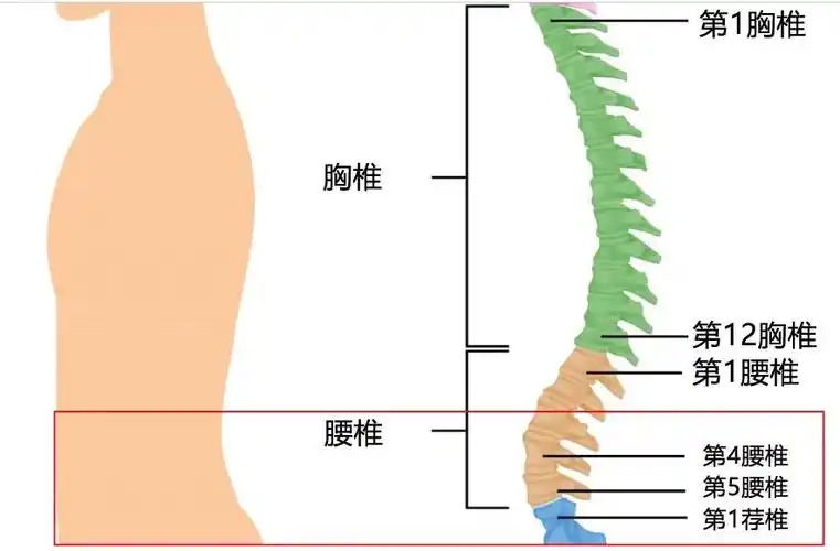 郴州骨科医院教授提醒:下背痛,当心腰椎滑脱压迫神经!_手机搜狐网