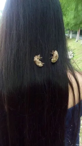 邋遢婆娘,头上那么大的虱子