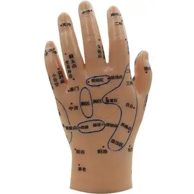 刻字清晰反射按摩左手模型手图掌背送超区穴位手部手模金属罐