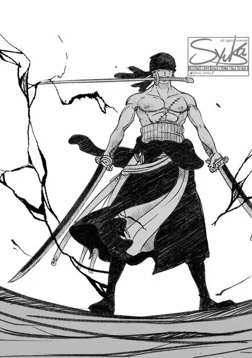 授权转载推特画师シュウカ新画作战斗的索隆