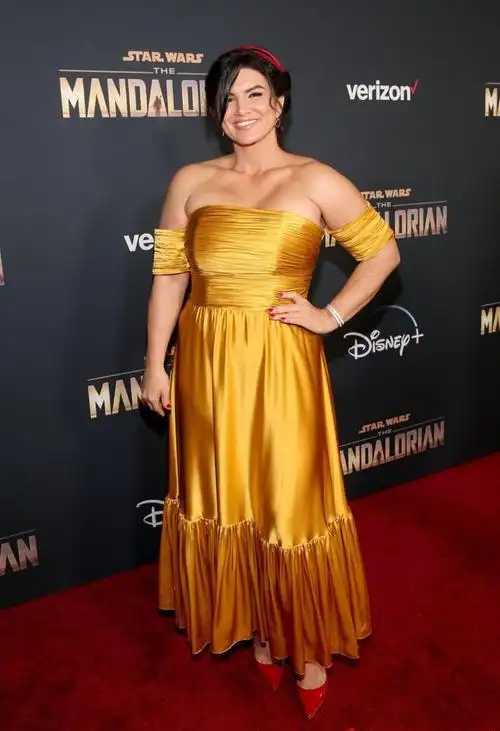 吉娜·卡拉诺(gina carano)是美国的一名演员,拳击手.