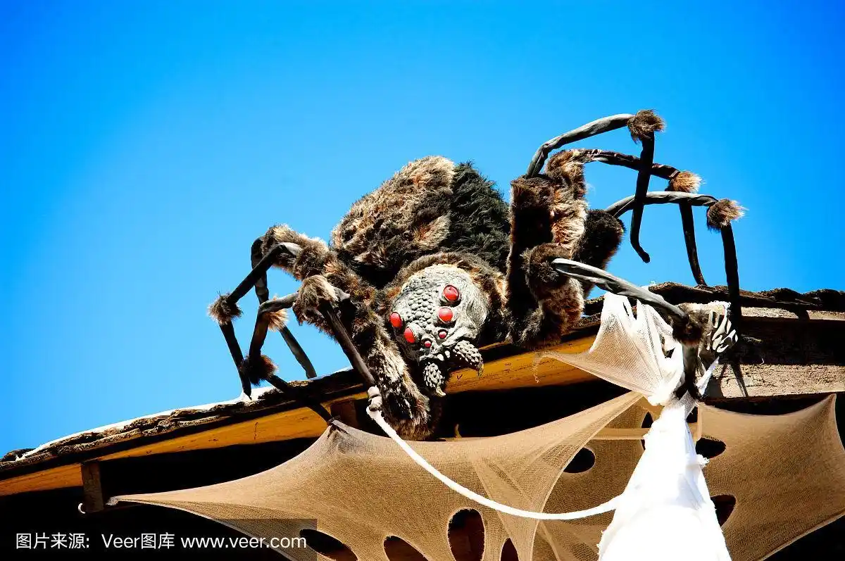 蜘蛛,怪异,惊骇,图像,四肢