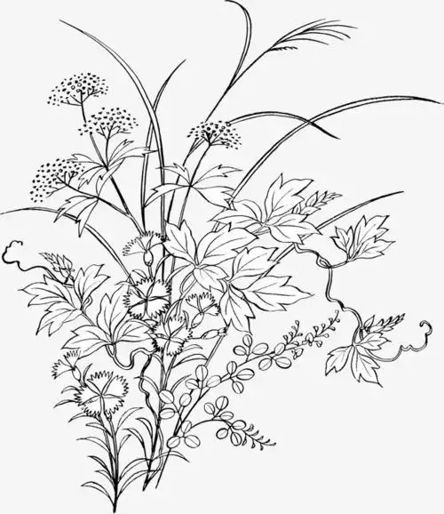 花丛简笔画漂亮