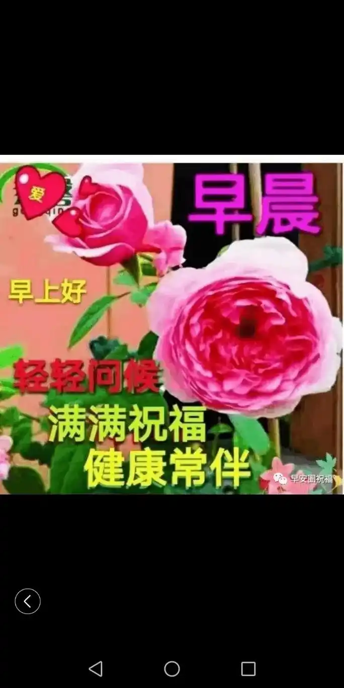 开启美好一天 #早安一声问候,快乐健康每一天#祝福你,我, - 抖音