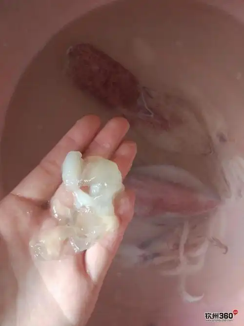 今天在菜市场买的鱿鱼,鱿鱼的肚子里有一坨黏黏的什么鬼,哪位大神知道
