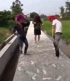 240_280gif 动态图 动图