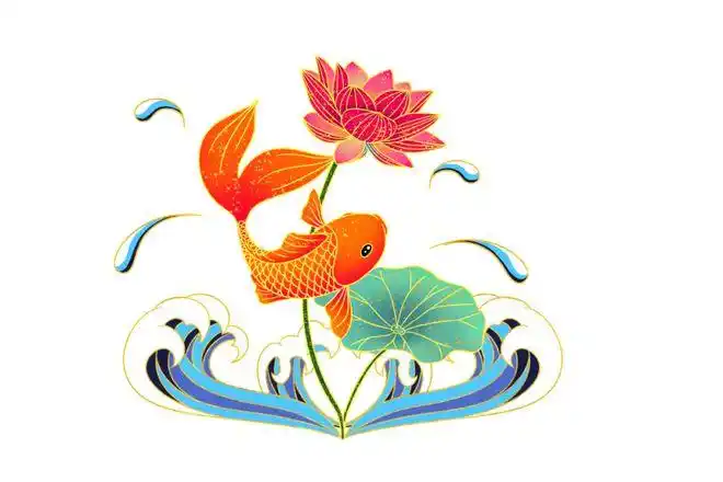 锦鲤为何代表好运详解锦鲤接福的深意