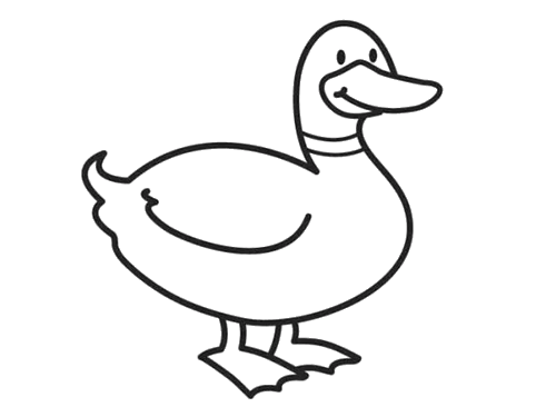 鸭子简笔画的画法2