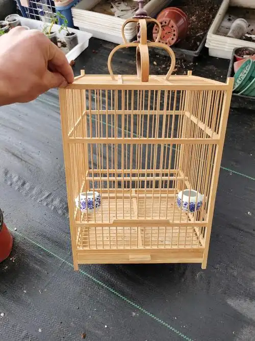 二手闲置竹鸟笼30拿走