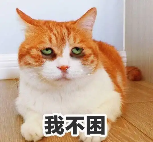 猫咪我不困翻白眼迷糊gif动图_动态图_表情包下载_soogif