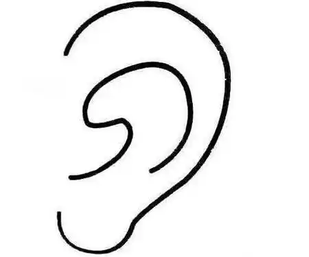 耳朵简笔画 的画法6张第3张耳朵简笔画大全图片大