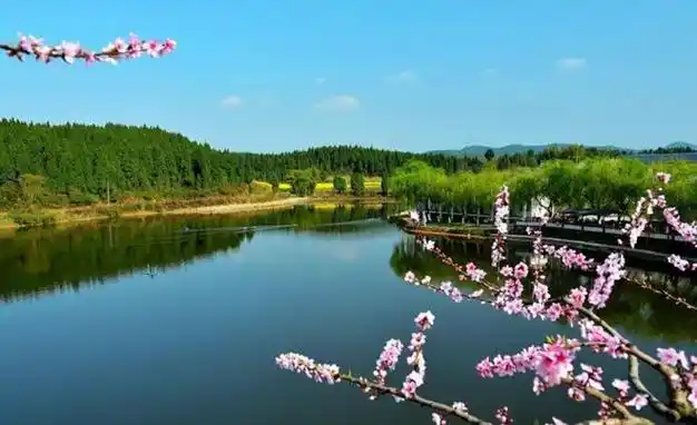 迎来春光明媚的三月,请欣赏人间动人的风景吧|春天里|大自然|踏青赏花