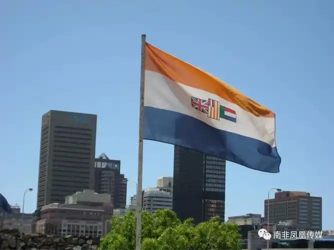 将来公开展示南非旧国旗或坐牢