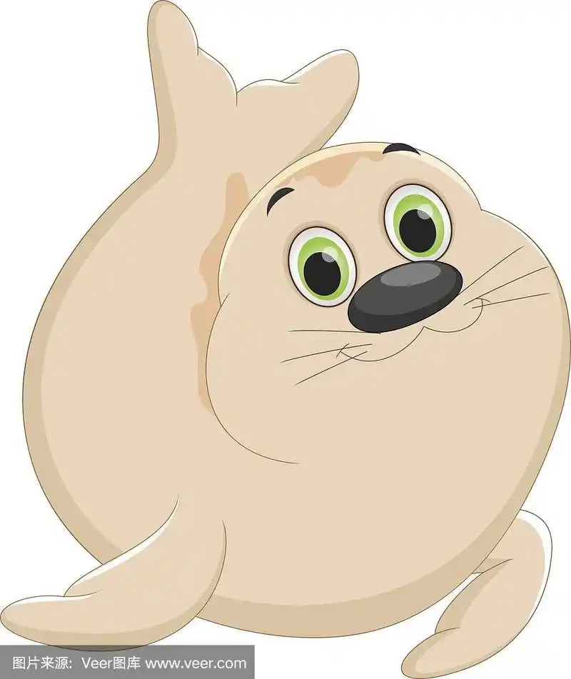 卡通可爱的海豹