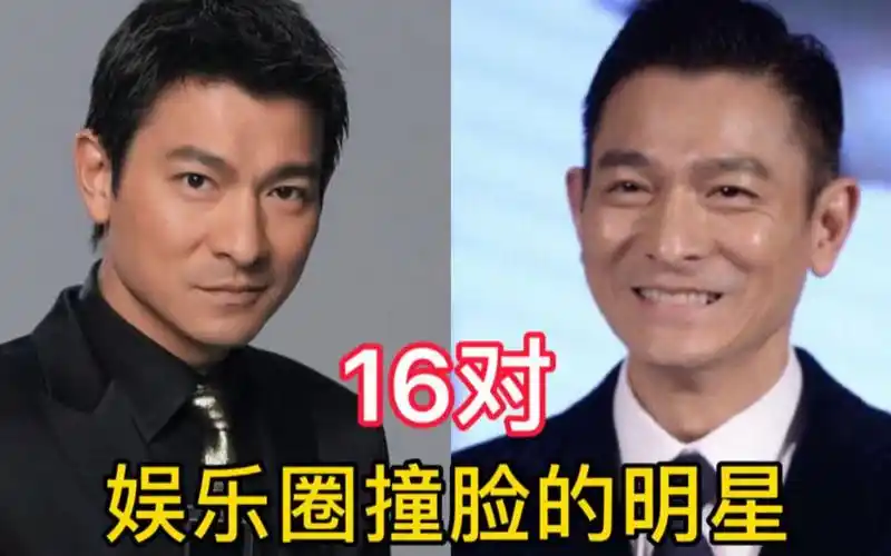 娱乐圈16对撞脸明星,王力宏蒲巴甲似亲兄弟,姚晨李菁傻傻分不清