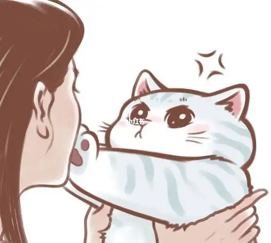 好想要银渐层啊