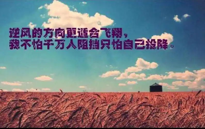 "e"路前行,奋斗的人生最精彩!—————记etc推广海洲人