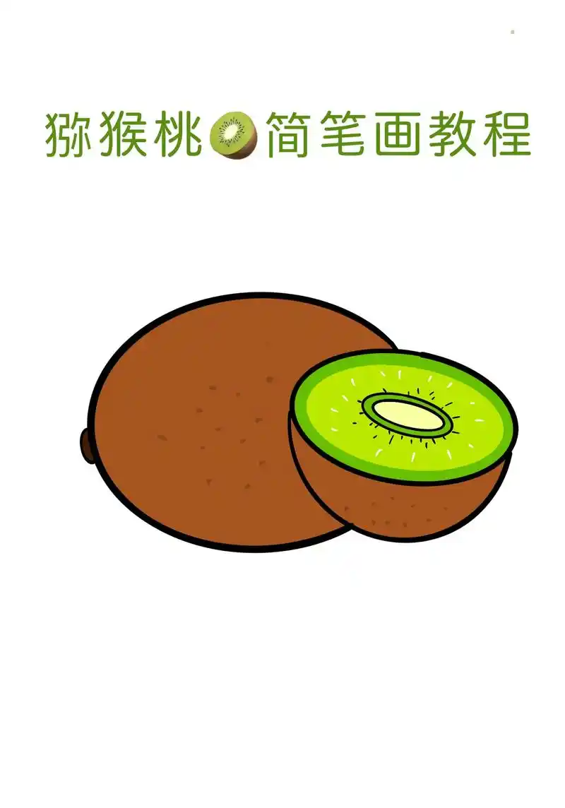 猕猴桃简笔画教程.水果简笔画大全——猕猴桃 会画圆就能画的猕 - 抖
